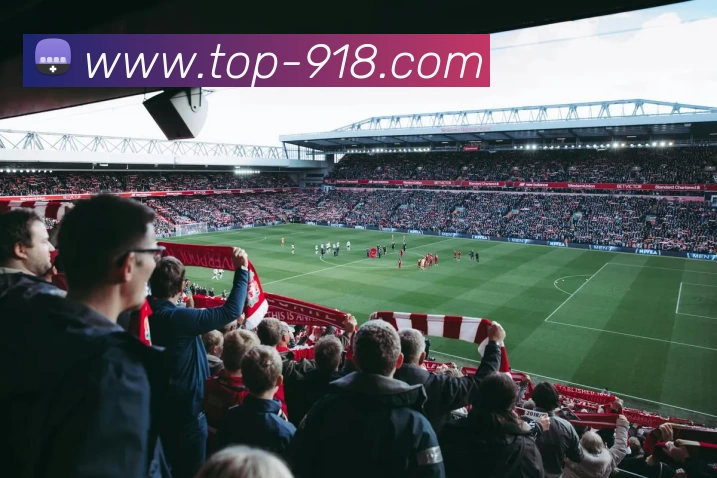 多媒体互动体验